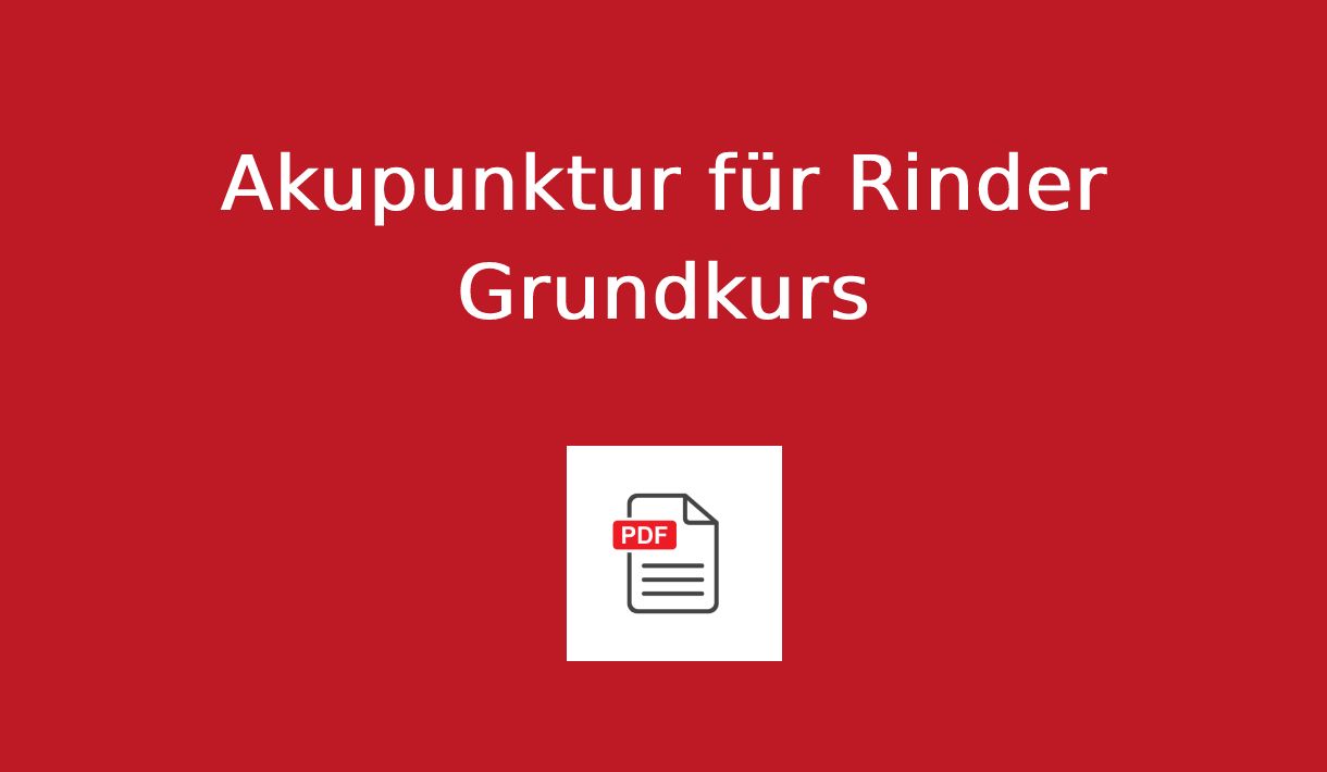 Kostenloser Grundkurs - Rinder Akupunktur Anleitung