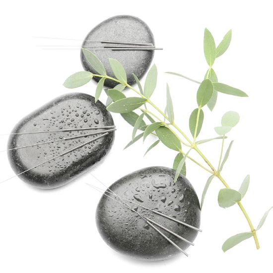 Rinder Akupunktur Anleitung - Bild 1