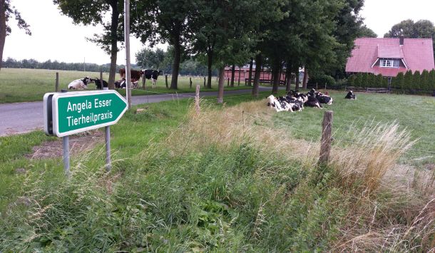 Tag der offenen Tierheilpraxis 2018